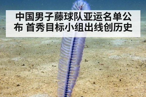 中国男子藤球队亚运名单公布 首秀目标小组出线创历史